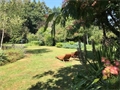 Photo numero 47059694 du bien UBI438303035